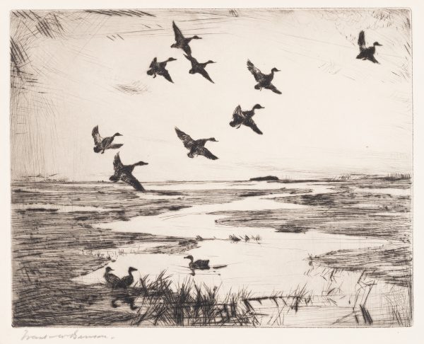 A marsh with stream of water and geese landing.