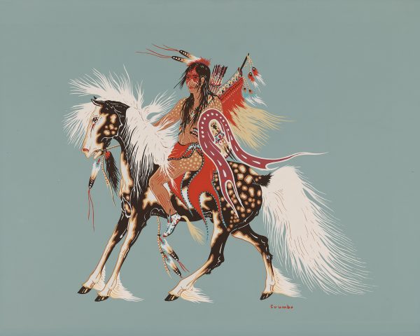 An Indian in full warrior dress on a horse with long white mane and tail.