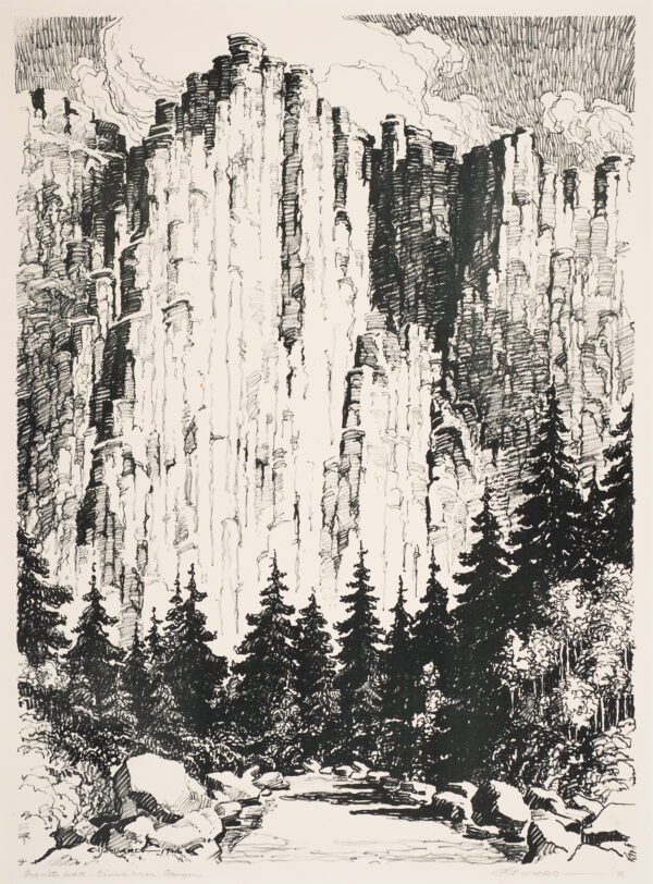 A tall wall of stone cliffs with trees at the base.
