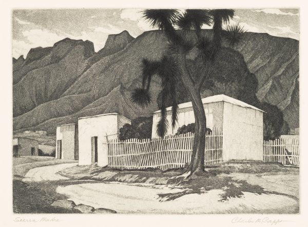 An adobe building wiht tree and picket fence in front, dark mountains behind.