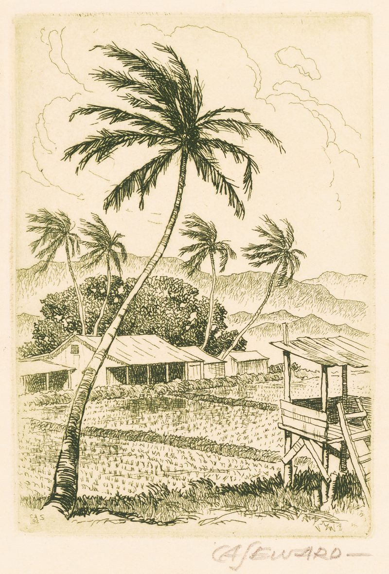 A tall palm tree on the left frames fields and buildings with hills in the distance. A crude wood tower is in the foreground on the right