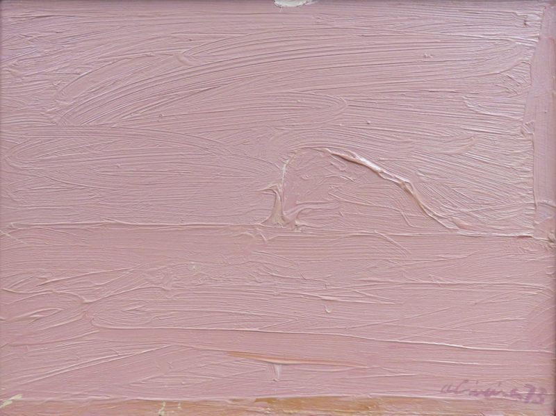 A minimal landscape of a horizon line painted in pink impasto.