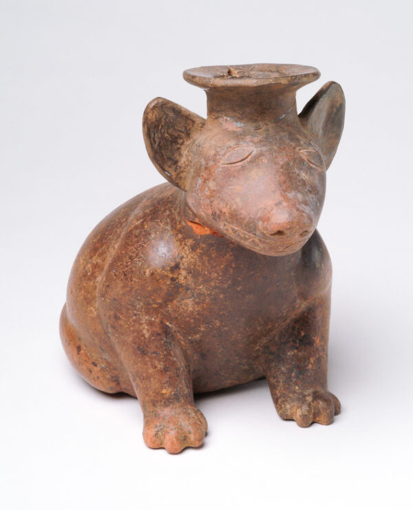 In red polished clay a fat dog with large ears and the head that is the neck of a vessel