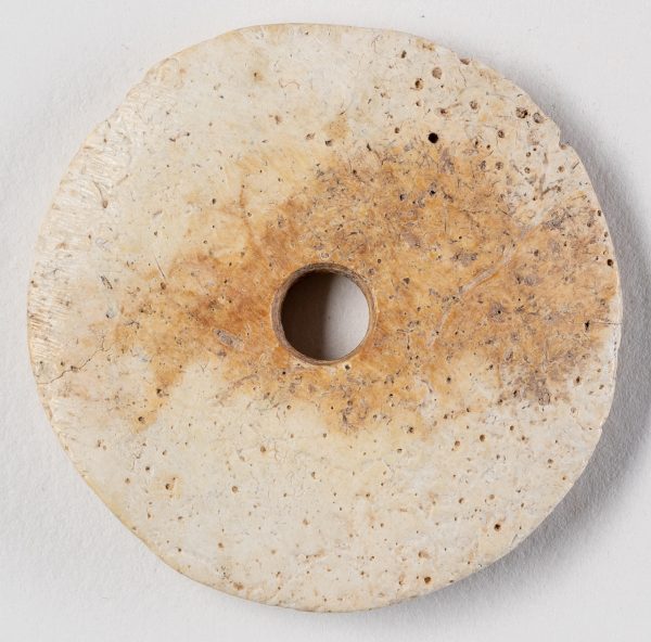 Bead in the shape of a disk.