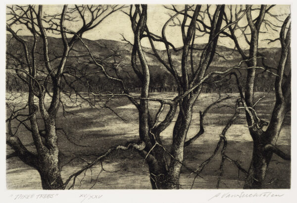 Three leafless trees with a landscape behind