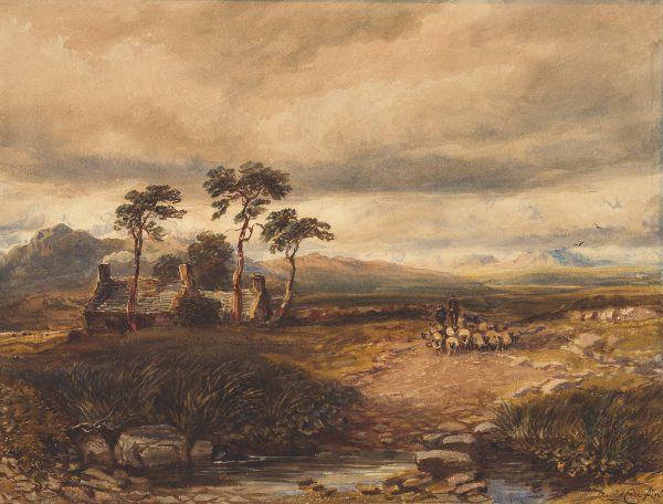 Sheep are being hearded toward water in the foreground with a cottage on the left beneath three tall trees.