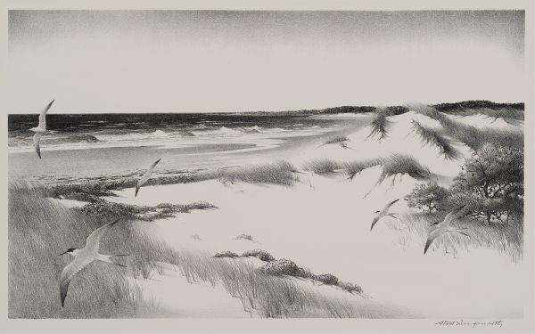 1957 Prairie Print Makers gift print. Seascape with birds near Ogunquit, Maine