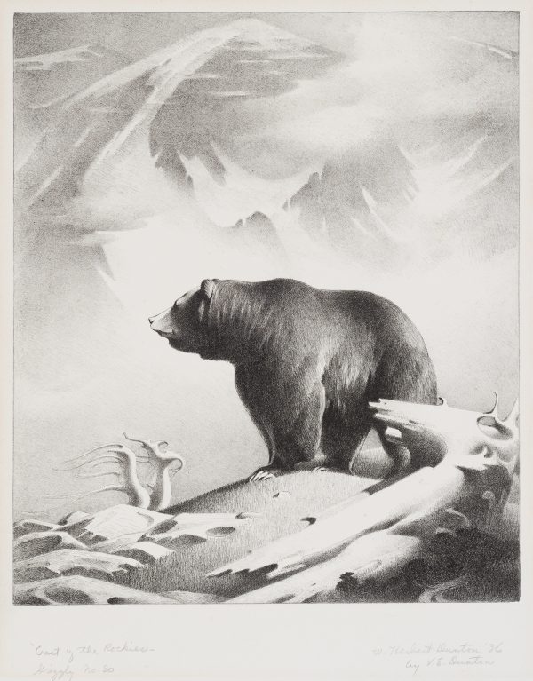 A grizzly bear and the Rocky Mountains