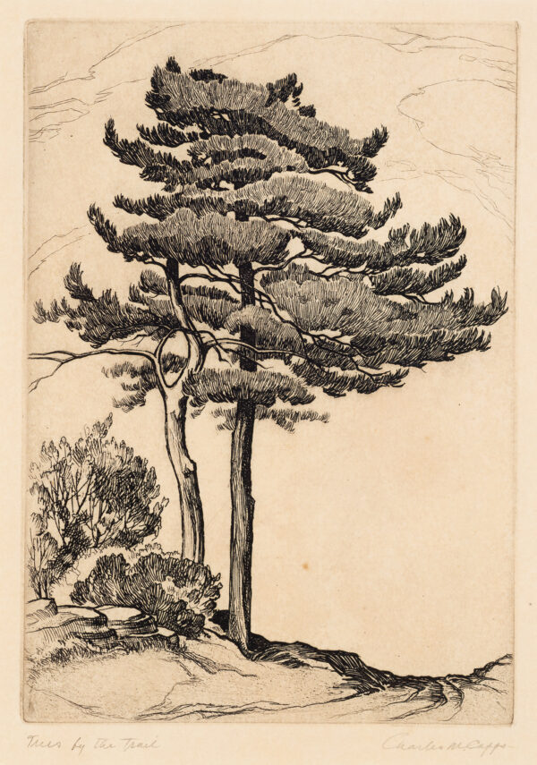 A landscape with two tall trees next to a dirt road.