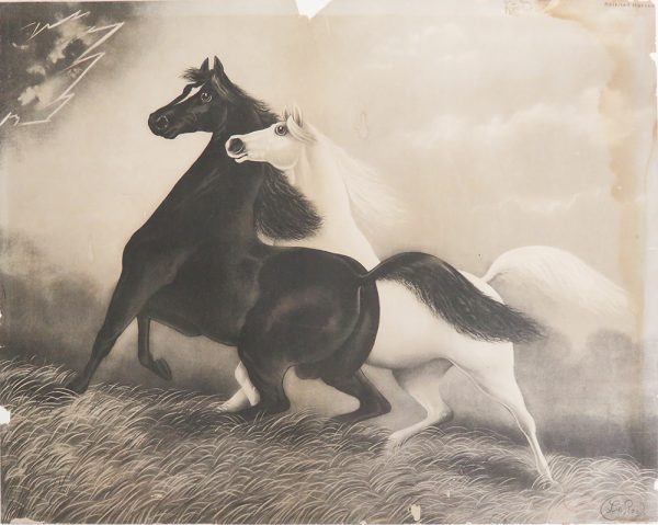 Two horses, one black, one white running side-by-side in a grassy fields, looking toward lightening in the sky.