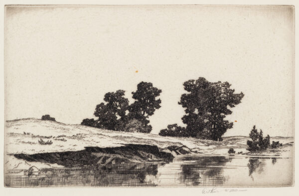 A body of water with rocky shore and trees.