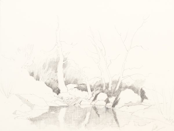 Study of Trees and Pond