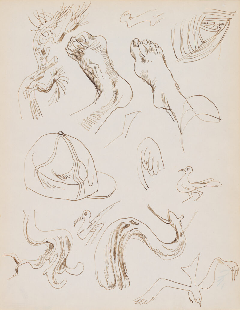 Sketches of various parts of the body.