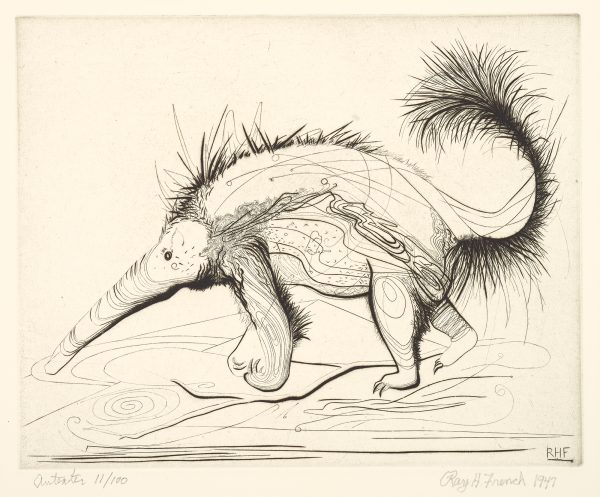 A profile view of an anteater, full length, facing to the left.