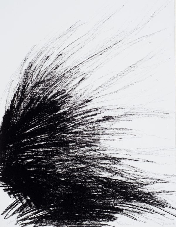 An abstraction.