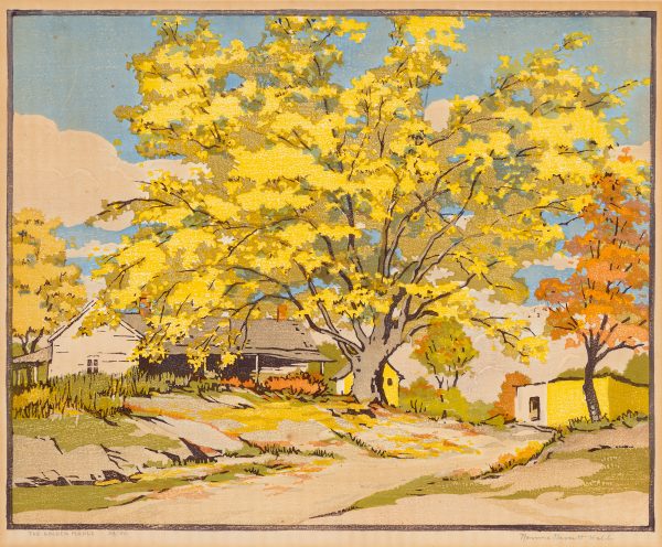 Outdoor scene with large yellow maple tree dominating composition; single level building to left of tree; two smaller structures at center and right.