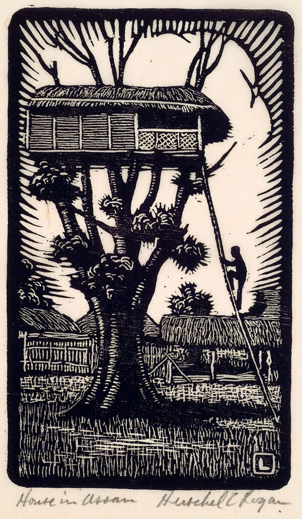 Depicts a thatched tree house in the top of a large tree. A man is depicted climbing a ladder to reach the tree house. Other thatched buildings are shown in the distance. Assam is an area of India.