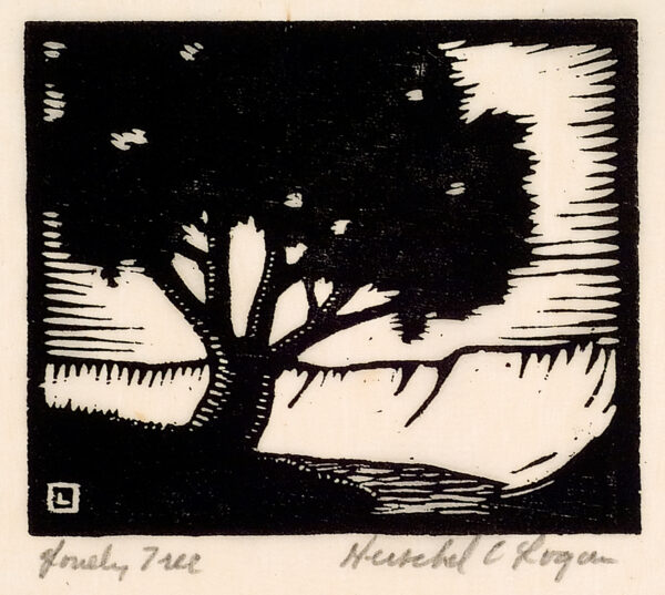 Depicts a large single tree in the center with a small stream and eroded cliffs to the right.