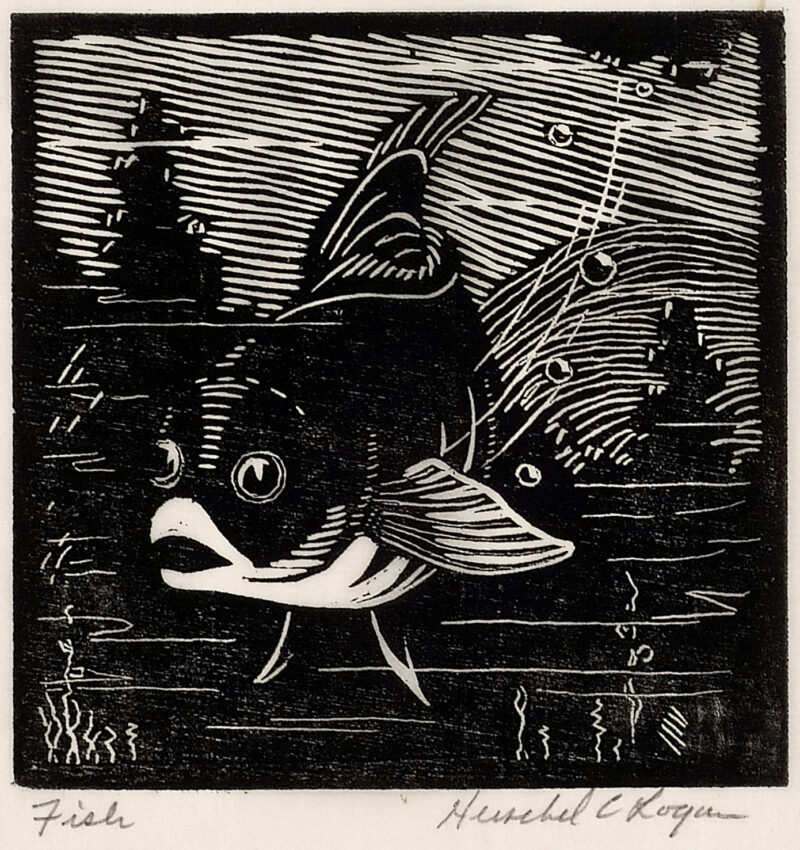 Depicts a large comical-style fish facing the viewer.
