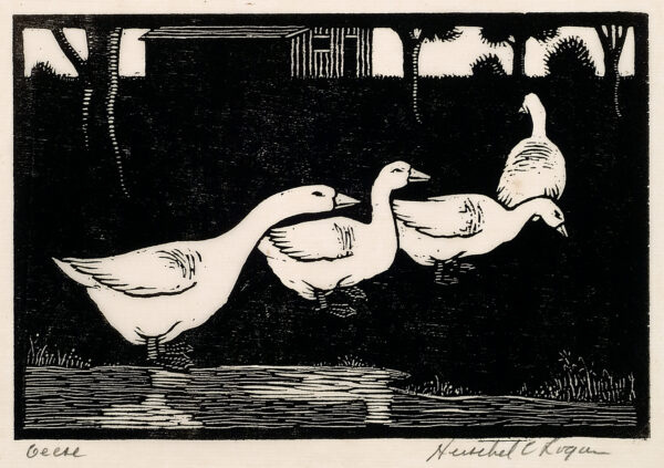 Depicts the profiles of three geese walking from left to right and a fourth goose in the distance walking away from the viewer.