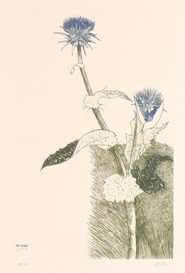 Two blue thistles branched from one stalk, five leaves.
