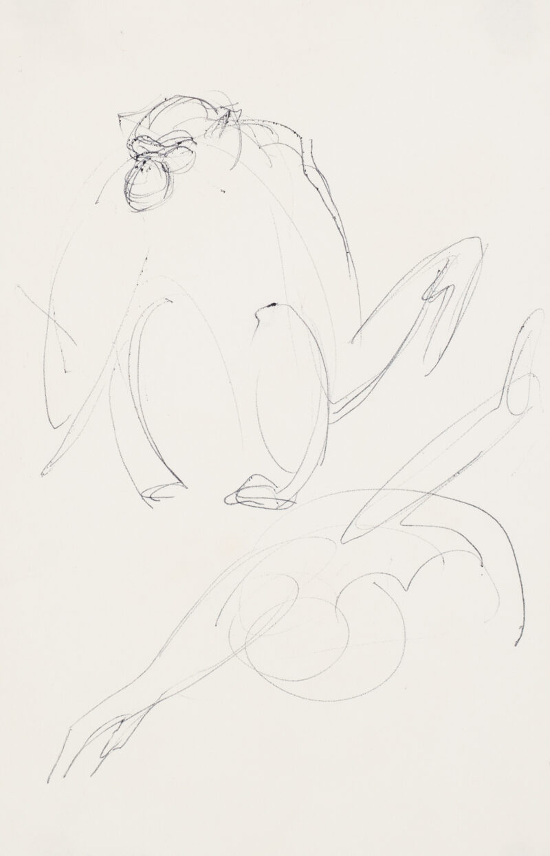 Preparatory drawings of Gibbons for a proposed Steuben bowl. Two monkeys. The top monkey is squatting, the lower one has his arms outstretched diagonally