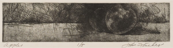 Etching of two apples in a horizontal format.