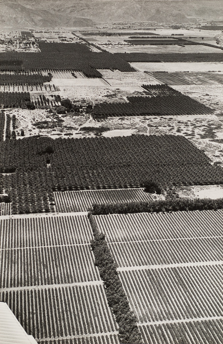 Crops in rows with tip of plane’s wing at lower left.