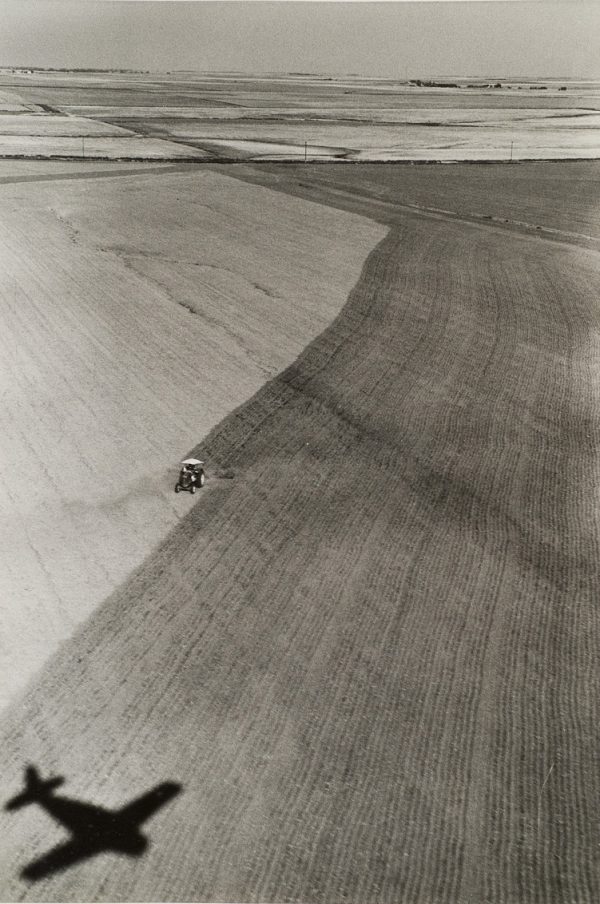 Tractor with umbrella is plowing a large field with the shadow of the plane at lower left.