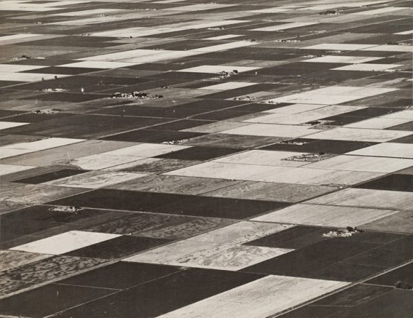 Fields and farms form a diagonal checkerboard.