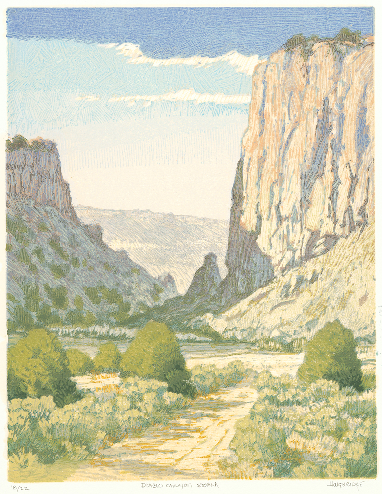 A road leads into a canyon with dark clouds above.