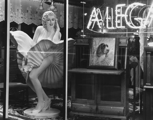 A view of an antique shop featuring a statue of Marilyn Monroe in her iconic pose of skirt being blown from the updraft of the subway. To the right is an framed image of a dog.