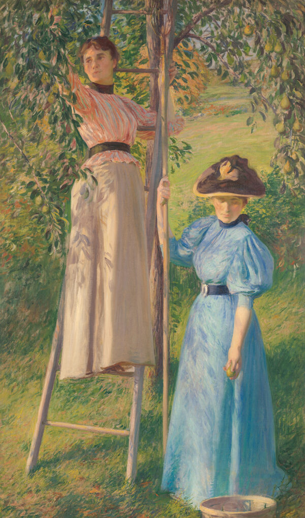 Two women in long dresses are shown picking pears, one is on a ladder the other is wearing a hat.