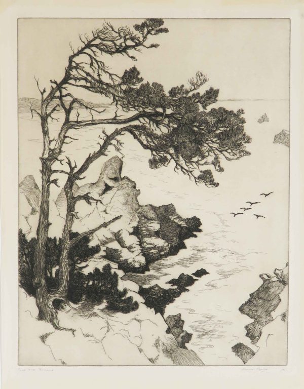 A scrub pine tree frames the view of an ocean with rocky coastline. Five birds are in flight at center right.