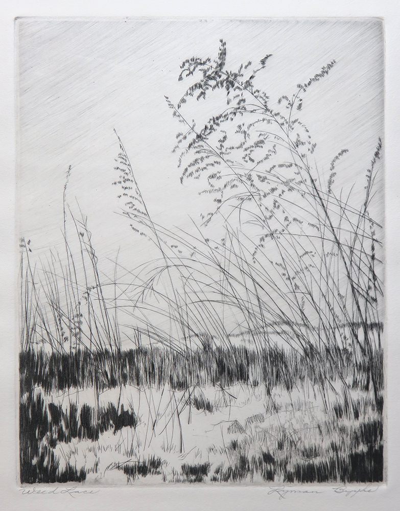 A flat landscape can be seen through a thin grouping of grasses