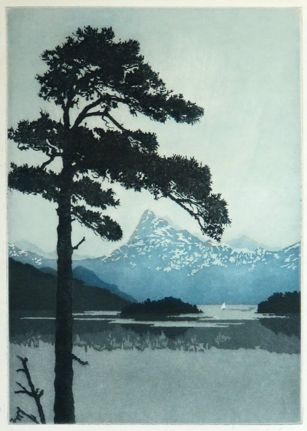 A lone tree rises along the left side, with a mountain, spotted with snow in the background. A lake with the far shore reflected is before the mountains.