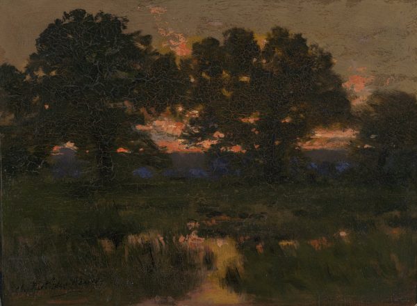 An orange sunset with trees in the background and marsh plants and water in foreground.