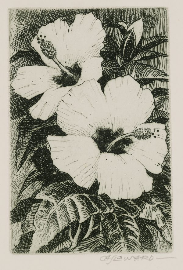 Two hibiscus flowers fill the composition. The printing is in slightly green ink, on Basingwerk Parchment.