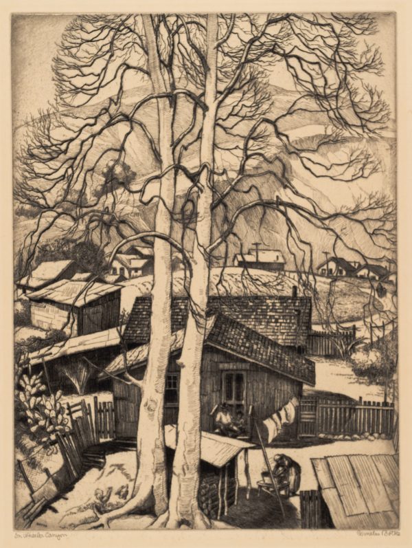 A cluster of simple homes sits in a canyon; a road circling past them; in foreground the backyard of one home where a man sits with a child on the back stoop and a woman bends over a washtub set on a stool; above is the line with clothes on it; next to 2 tall leafless trees is a woodpile covered by tin roof held up by poles; another tin roofed shed is nearby; chickens scratch a the ground; all is surrounded by a shaky wooden and screen fence; huge cactus plant outside fence.