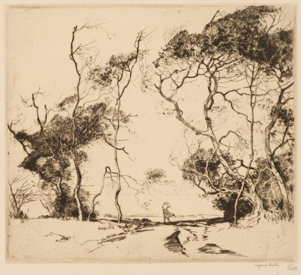 An open field with barren tress. There is a female figure at a parting in the trees with her back to the viewers. She looks out ahead of her as the wind blows her dress.