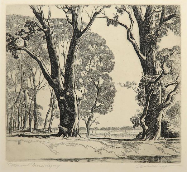 A cottonwood grove with two large trees in foreground with a stream along the bottom edge. A barb wire fence is at the horizon.