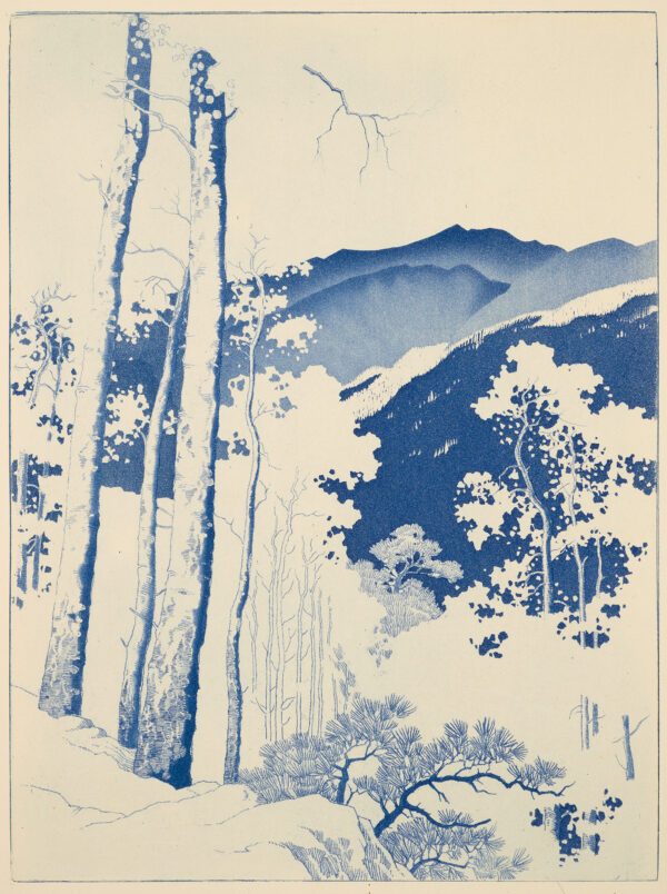 A forest landscape is pictured with mountains in the background.