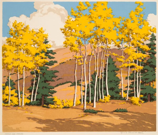 Fall colored leaves decorate tall aspen trees in a forest area with green spruce trees behind them at large hills in the background.
