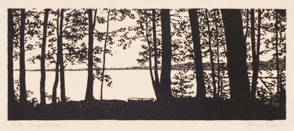 A horizontal panarama of trees before a lake. The distant shore can be seen through the trees.