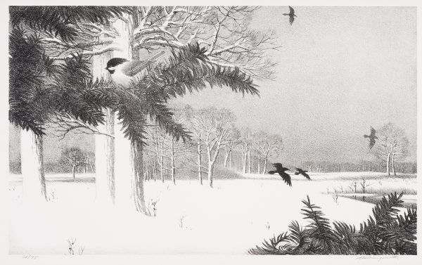 A snowy field with trees to the left and birds flying.