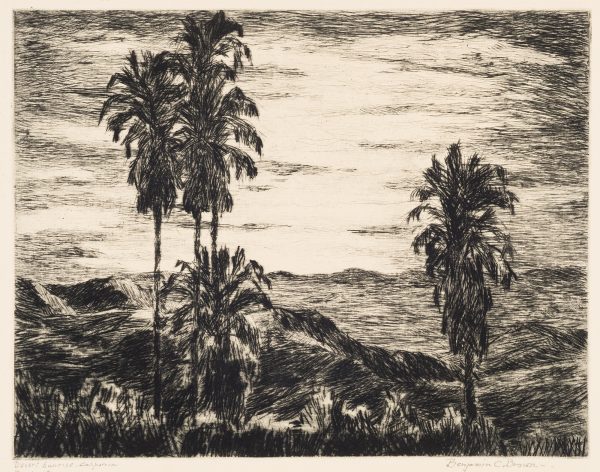A southwestern landscape featuring several tall palm trees.