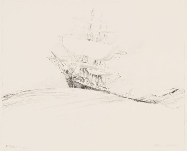 A sailing ship is rising on a tall wave, with full wind at her sails.