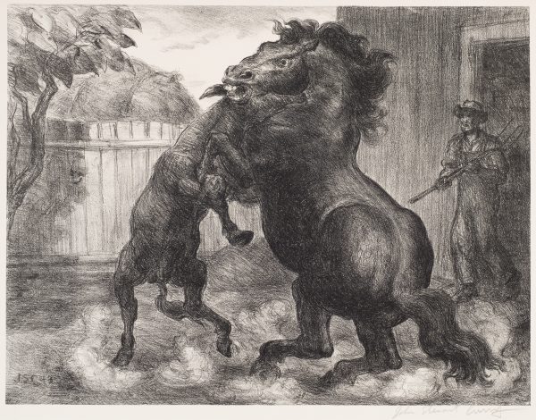 Two rearing horses, the larger stallion is one the right. A farmer holds a pitch fork with a surprised look on his face, is emergind from a barn at the right.