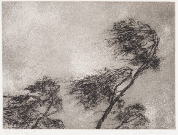 Two trees are seen against the sky. They are being blown by the wind and the sky is dark.