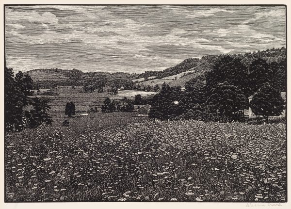 A field of flowers are in the foreground with a barn, rolling hills, trees and cloudy sky in the distance.